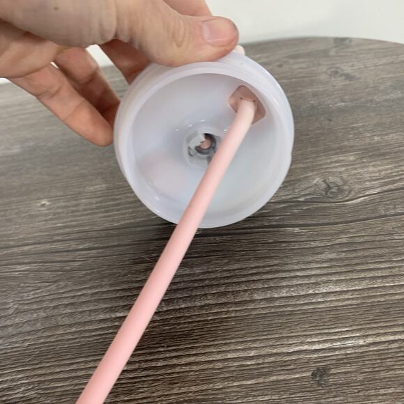 Stanley 30oz Stainless Steel Tumbler W/lid And Straw Pale Pink - Picture 13 of 14